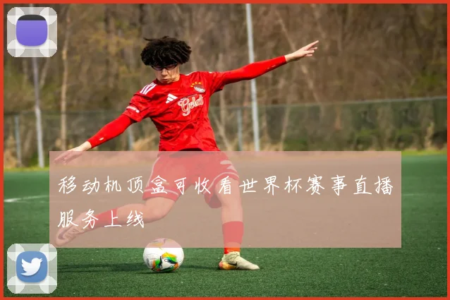 移动机顶盒可收看世界杯赛事直播服务上线