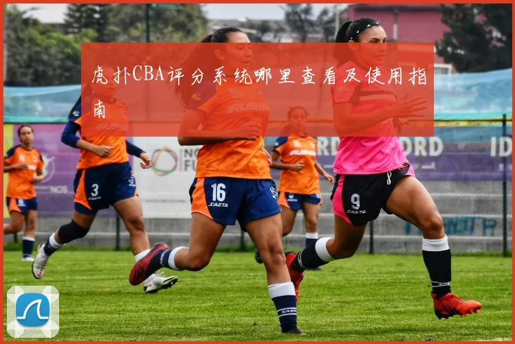 虎扑CBA评分系统哪里查看及使用指南