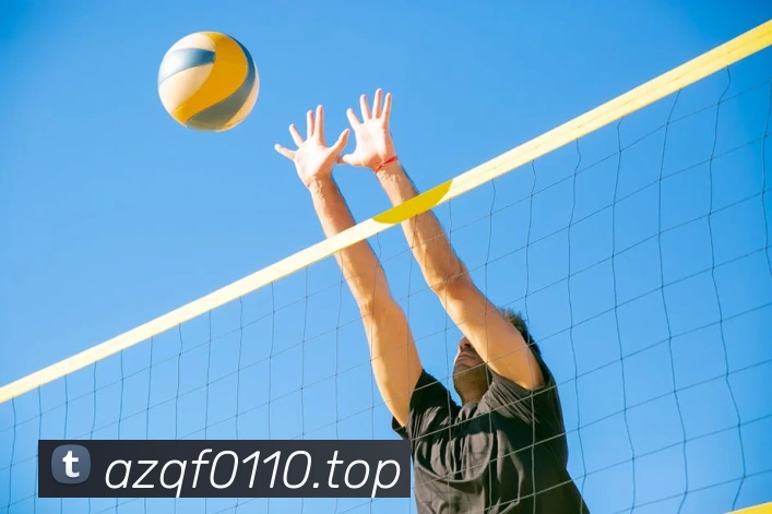 爱体育电子官网首页发展历程